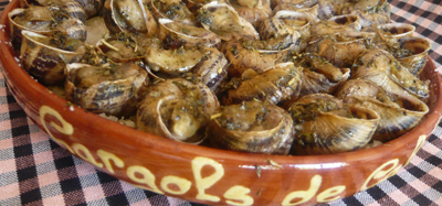 comercialització de cargols comercialització de cargols